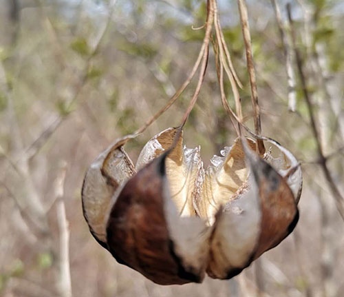 �S�^�h(hu��n)��